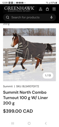 Horse blankets turnouts