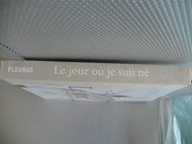 LE JOUR OÙ JE SUIS NÉ- RÉCIT ( KARINE-MARIE AMIOT )62863259035906122