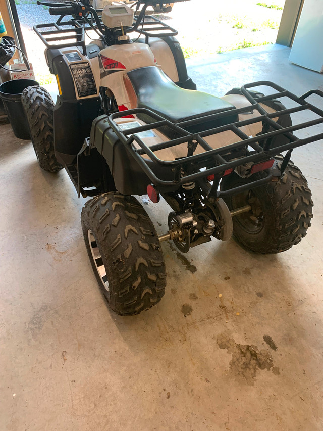 Tao motor bull 200 2020 a vendre in ATVs in Gatineau - Image 4