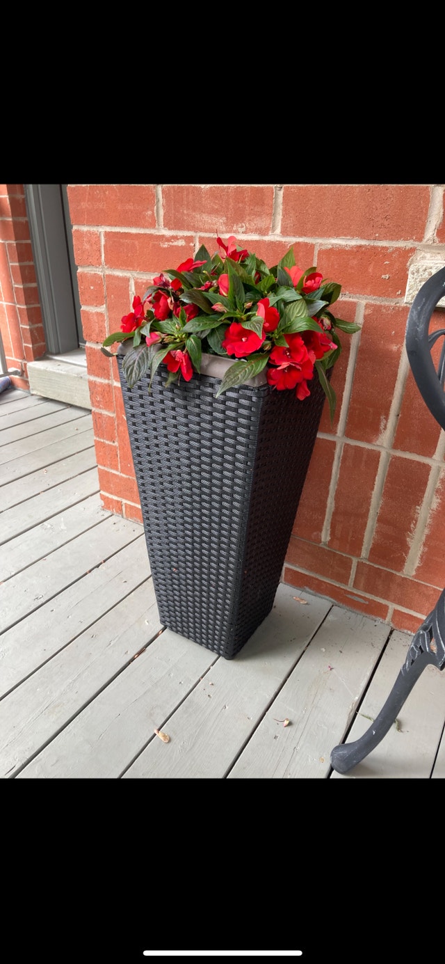 2 tall Planters Plants, Fertilizer & Soil Mississauga / Peel Region