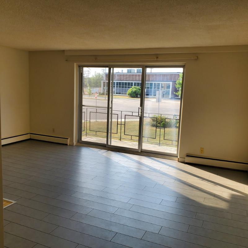 700 bachelor Studio Apartment For Rent Near Southgate & Balcony Long