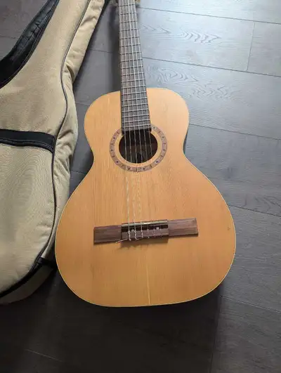 Godin/Art and Lutherie Canadian nylon string parlour guitar, View more