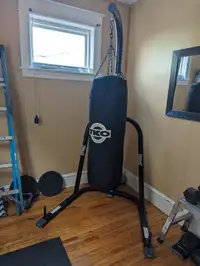Heavy Bag with stand