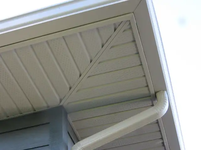 THE GUTTER DOCTOR! Exterior Services. Gutter Clean/Fix/Install62863246137091122