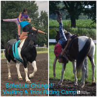 Vaulting & Trick Riding Camp Week