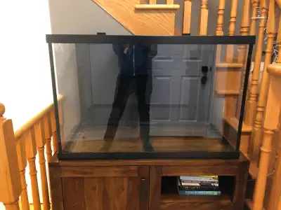 65G fish aquarium from Miracles Aquariums (https://www.miraclesaquariums.com/). It is about 7 years-...