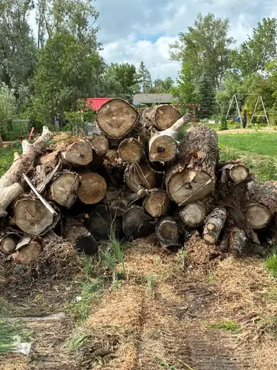 Free Firewood, View more