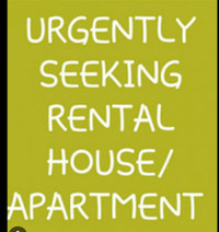 Looking for two bedroom apartment or house 