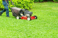Spring clean up/Lawn Care
