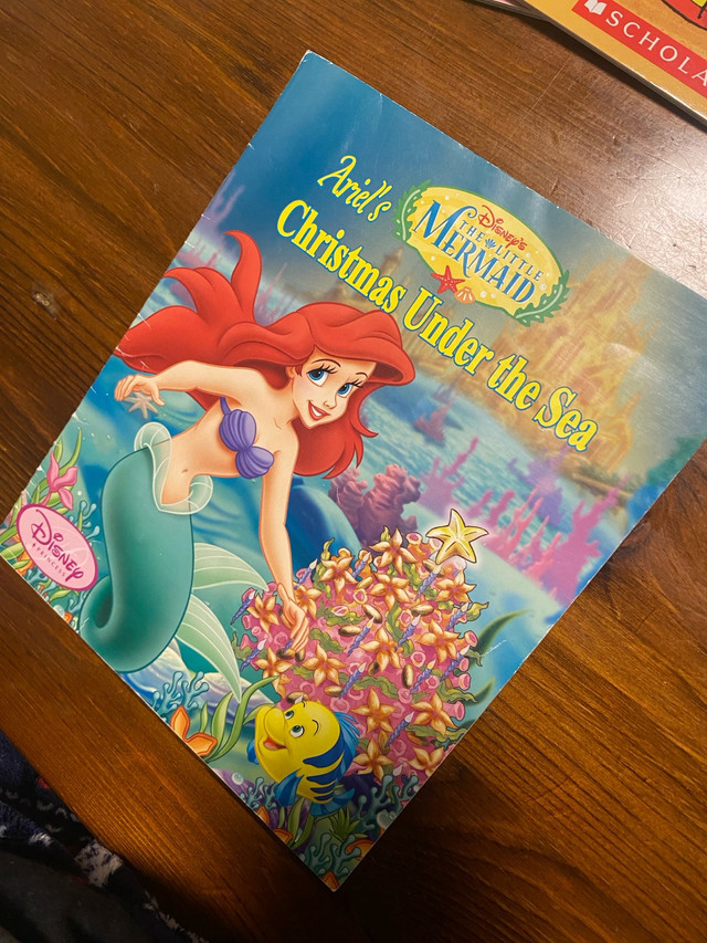 Children’s Disney princess book  in Children & Young Adult in Burnaby/New Westminster