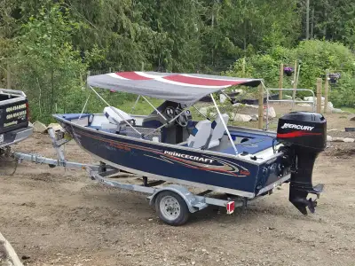 14.2ft prince craft aluminum pro series 40hp oil injection 2 stroke Complete engine service done Pow...