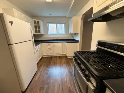 3+ bedroom 1 bathroom basement suite