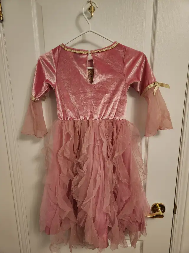 Robe de princesse avec chapeau, grandeur enfant 5/6 ans in Kids & Youth in Longueuil / South Shore - Image 4