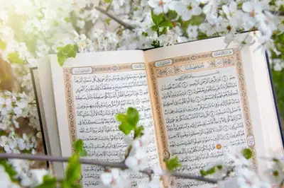 Private Qur’an Tutor – Learn with Meaning & Confidence – $25 / 30 Minutes Are you or your child look...