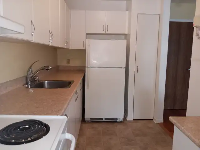 Cornwall 1 Bed Apartment in Long Term Rentals in Cornwall - Image 2