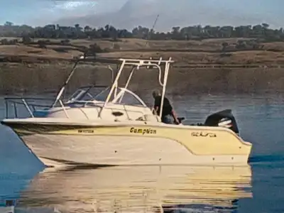 Deep V Big Water Boat , 22ft with 175main Suzuki and 15 HP Merc Pro KIcker 2016 Galvenized Roadrunne...