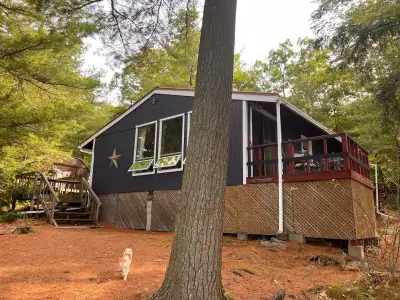 Muskoka Cottage for rent, View more