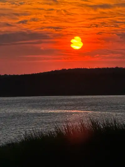 New 1 Bedroom Waterfront Apt for Rent, Lawrencetown Beach Area