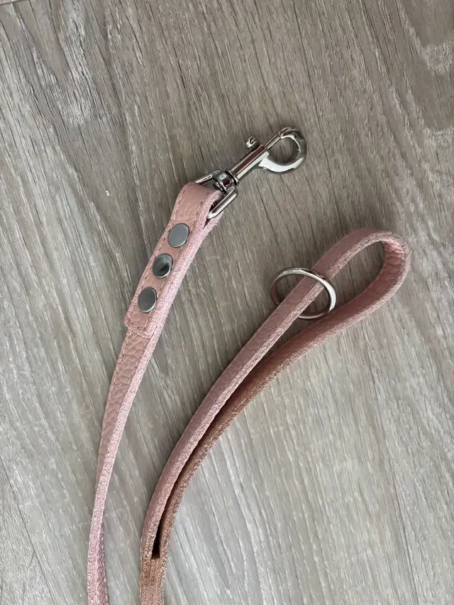 Dog Leash in Accessories in Saskatoon - Image 3