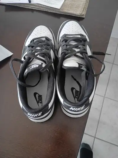 Nike Panda Dunks, View more
