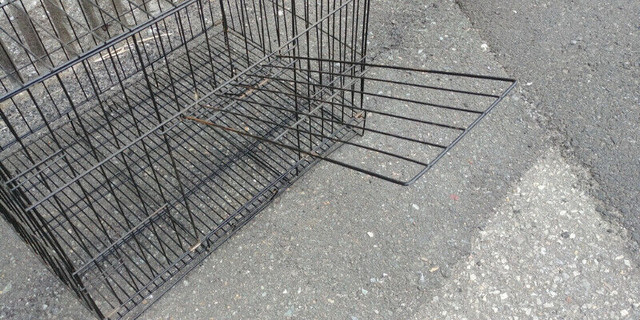 Cage en Metal pour petit chien dans Accessoires  à Longueuil/Rive Sud - Image 4