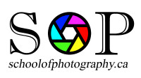 6 Weeks Photography Course
