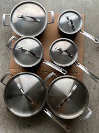 12-piece Kirkland Signature Pots & Pan Set with bonus Pasta Pot