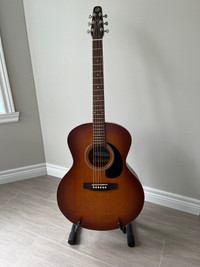 Guitare Acoustique Godin 