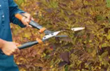 Brand New Heavy-Duty Hedge Shears, View more