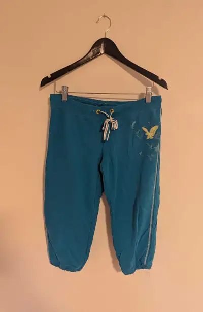 American Eagle Outfitters Blue Capri Sweatpants - Women's Medium, View more