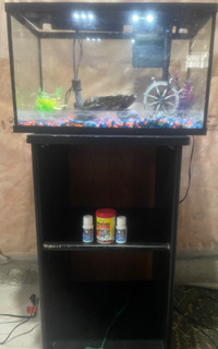10 gal Aquarium / Fish Tank with Accessories n Stand