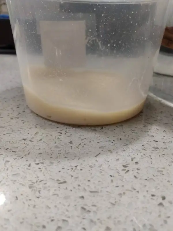 Microworm Culture (Live food) in Fish for Rehoming in Edmonton - Image 3