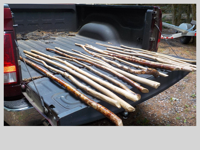 Beaver Sticks- Mementos of Muskoka in Arts & Collectibles in Muskoka - Image 3
