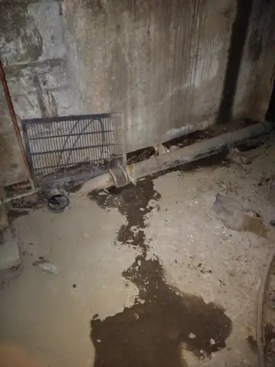 HOME WATER LEAKS REPAIRED  WINDOW WELL DRAIN FAST ECONOMICAL, View more