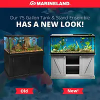 Marineland Fish Tank Aquarium with cabinet 75G