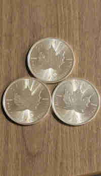 Rcm .9999 silver Maples 1 oz