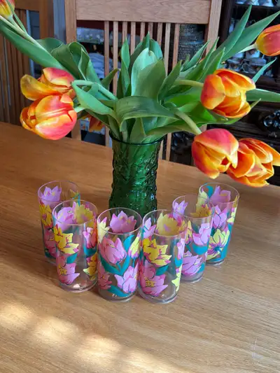 Vintage Patio Beverage Set of 6 Acrylic Glasses-Tulips, View more