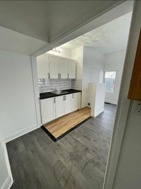 Modern And Newly Renovated 1 bed and 1 bath unit at Huron St.