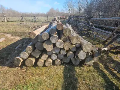 Cedar Posts, View more
