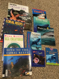 Ocean Life Kid’s Books