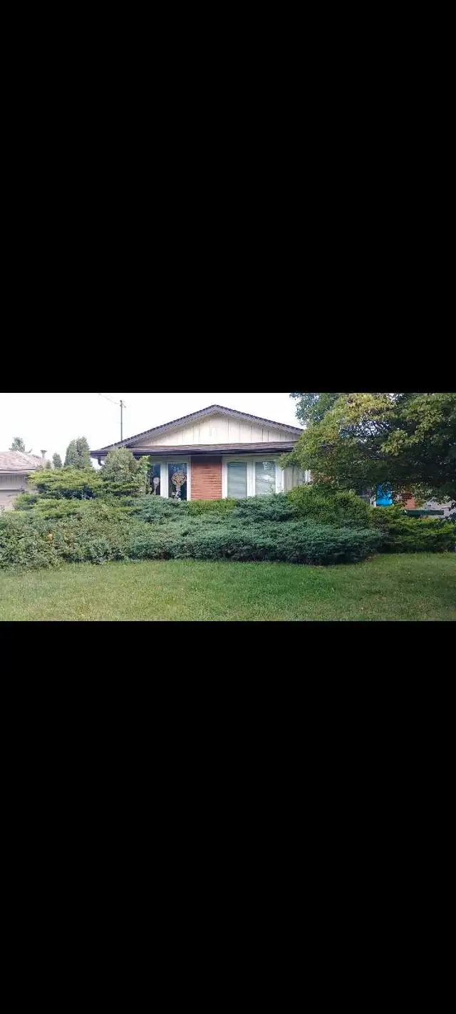 wood chipper for rent in Outdoor Tools & Storage in St. Catharines - Image 6