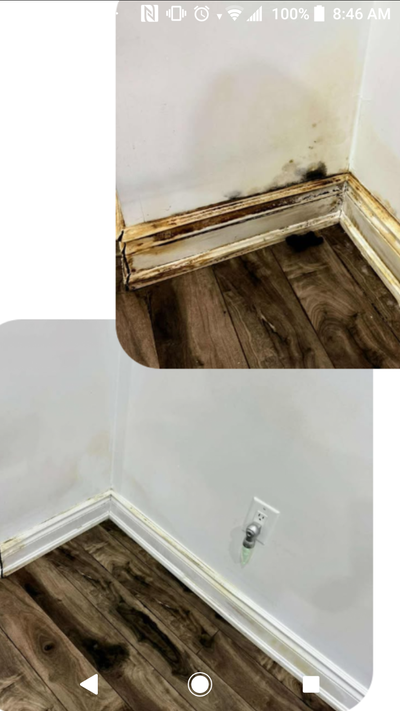 Home Cleaning Services, View more