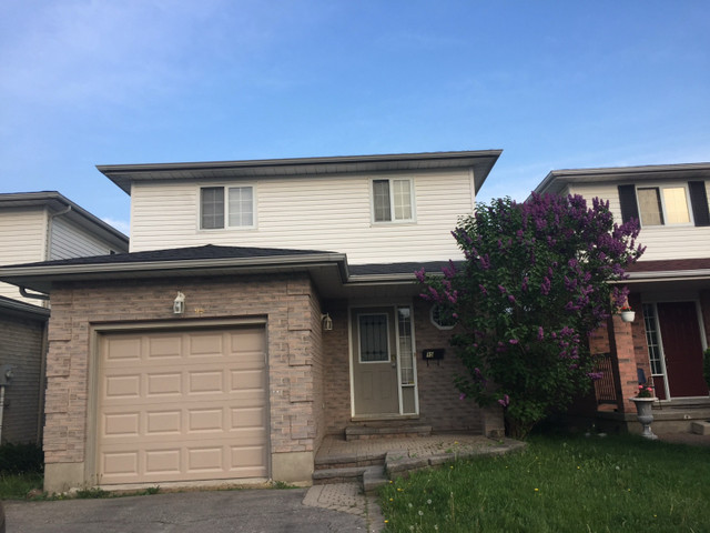Room for Female in Room Rentals & Roommates in Kitchener / Waterloo