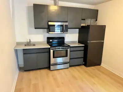 Bright and well-maintained 1-bedroom apartment in a convenient location, perfect for a single occupa...