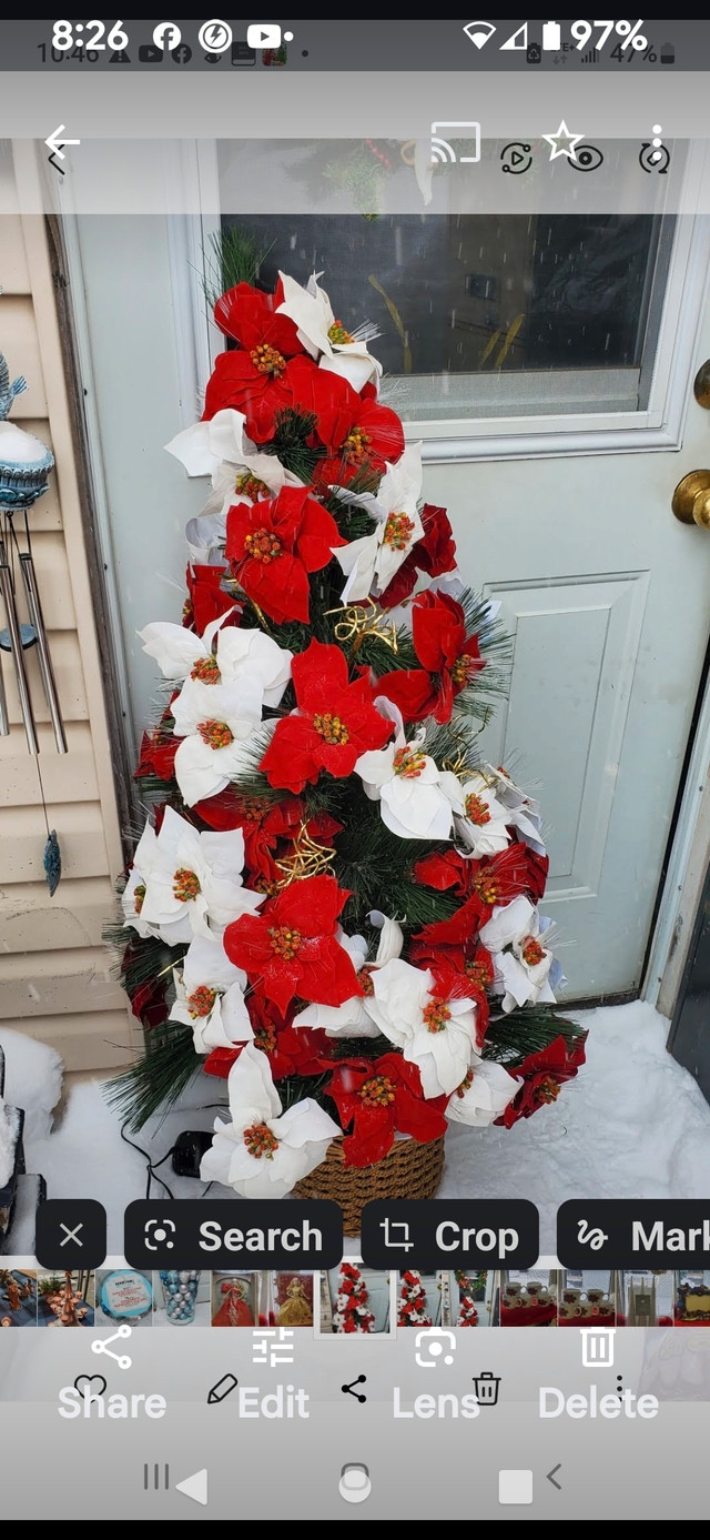 NEW FIBER OPTIC  5' POINSETTIA CHRISTMAS TREE  in Holiday, Event & Seasonal in Cranbrook