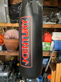 Almost new punching bag with practice and regular boxing gloves
