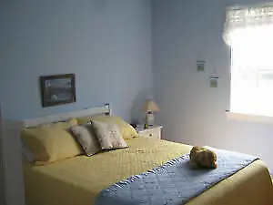 Available from August 23  Pointe du Chene / Parlee Beach/Shediac in New Brunswick in Canada - Image 10