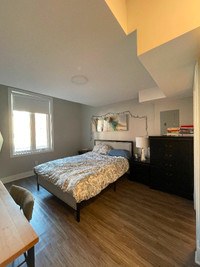 Subletting a room in Sandy Hill (Ottawa) from May to September