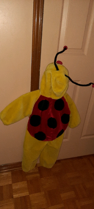 Suit de coccinelle habit d'halloween, View more