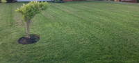 Grass cutting, bed cleanup/edging.